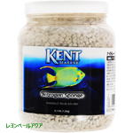 KENT ナイトレートスポンジ 1500g