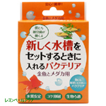 新しく水槽をセットするときに入れるバクテリア 金魚とメダカ用