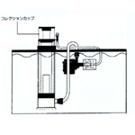 コレクションカップ(SCSP100-3)