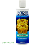 KENT フィトプレックス