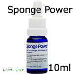 Sponge Power スポンジパワー コンセントレート