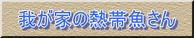くまぞうさんのHP