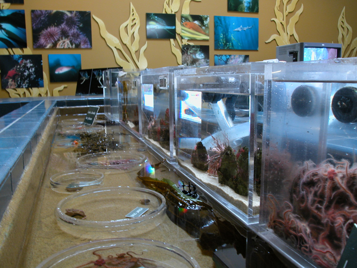 海洋生物レクチャー室