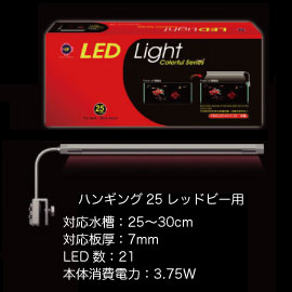 LEDライト ハンギング25 レッドビー用