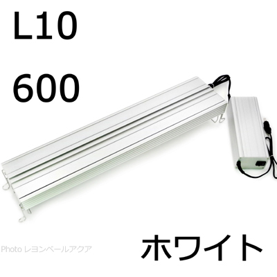 アクシーL10 エルテン600 ホワイト