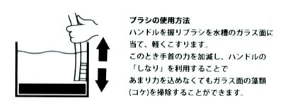 アルジーシステマのブラシ使用方法