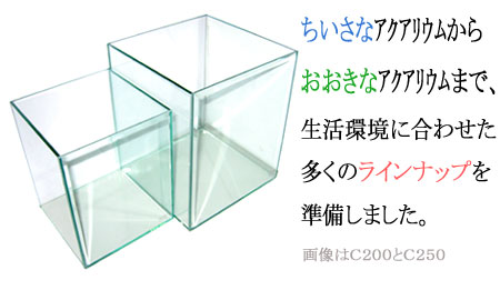 Cube キューブシリーズ
