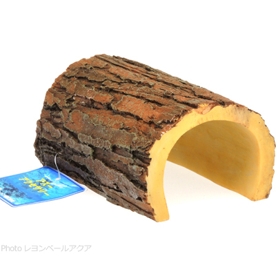 ライトブラウンウッド Sの横面
