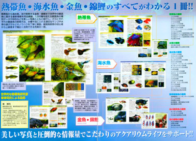 観賞魚大図鑑 緑書房 レヨンベールアクア