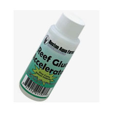 Reef Glue Accelerator 硬化促進剤