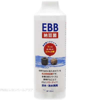 EBB納豆菌