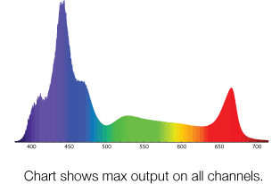 Radion XR15FWの光のスペクトル