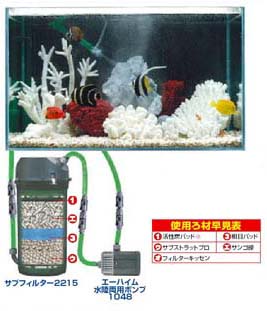 高いろ過能力が必要な海水魚での使用例