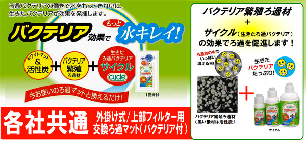 各社共通タイプ バクテリアろ過材 6個入