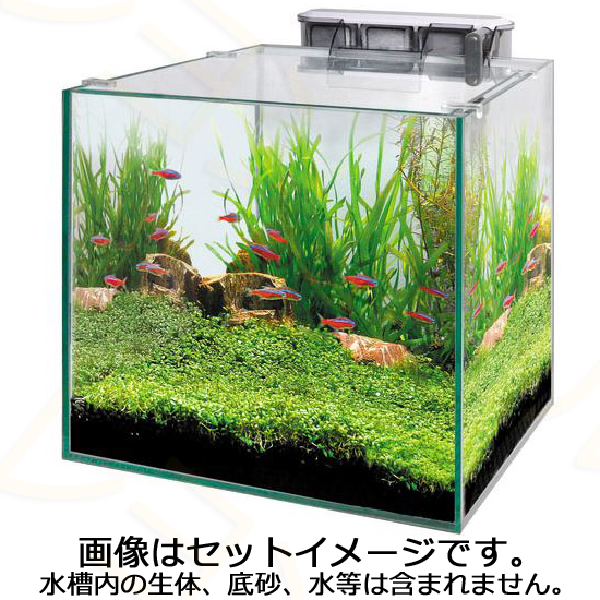 GEX グラステリアキューブ 水槽セット【レヨンベールアクア】
