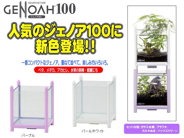 ジェノア100 パステルカラー新色