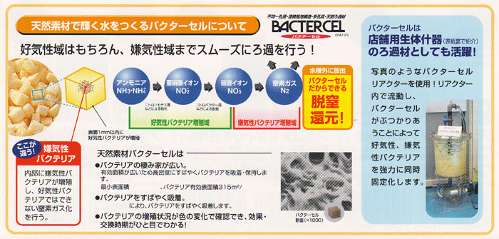 バクターセル 詳細