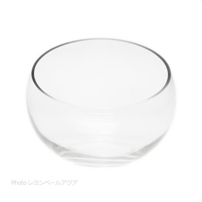 Glass Wareグラスウェア オーバルタイプ
