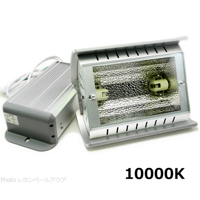 カミハタ ファンネル2 150W 10000K（ホワイト）