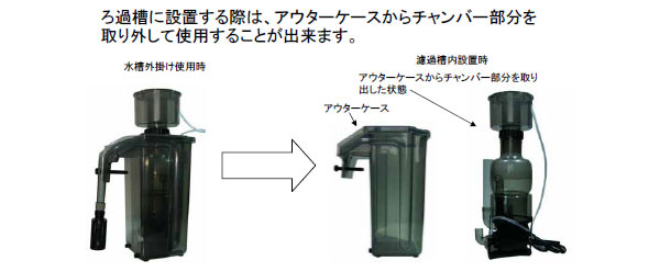 【週末限定特価】海堂達磨