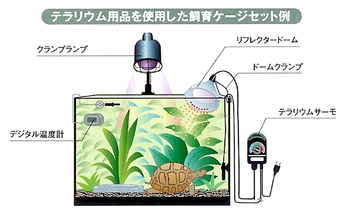カミハタ 爬虫類用デジタル温度計 【レヨンベールアクア】