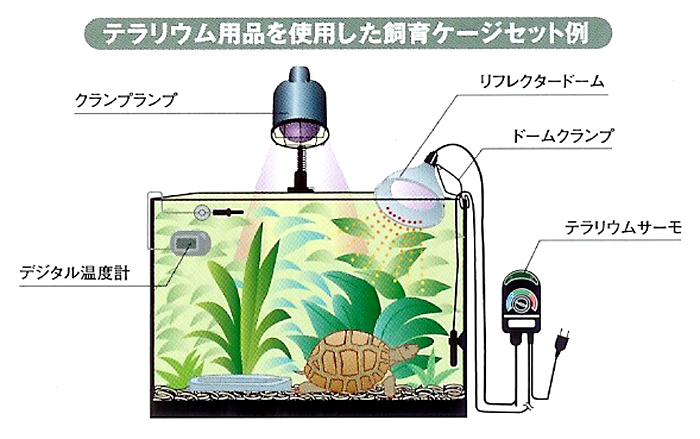 テラリウム用品を使用した飼育ケージセット例