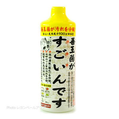 善玉菌がすごいんです 500ml