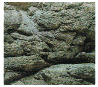 マラウィの湖底 岩石600 模様