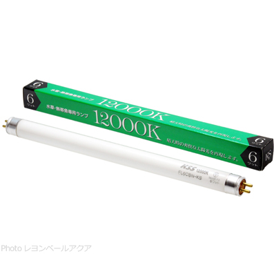 蛍光ランプ 12000K 6w