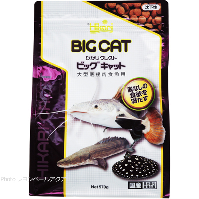 キョーリン ひかりクレスト ビッグキャッド570g