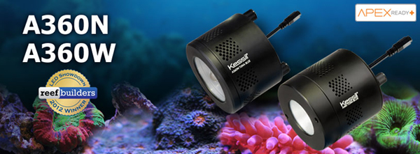 サンゴ✋海水用LED　Kessil A360X Tuna BLUE✊今年7月購入