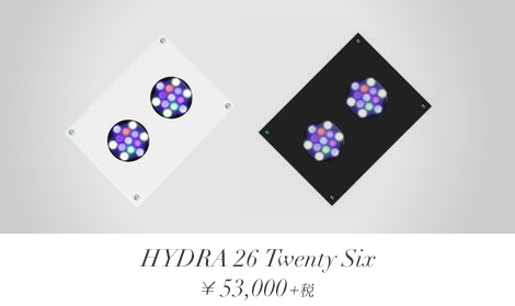 AI hydra26のホワイトとブラック