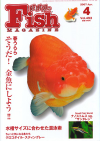 フィッシュマガジン 2007年4月