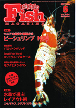 フィッシュマガジン 2007年5月