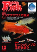 フィッシュマガジン2007年12月号