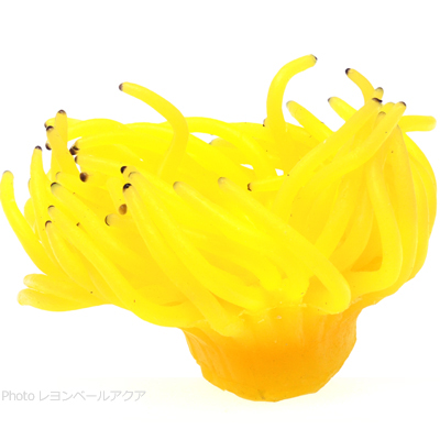 コーラルレプリカ NI-39A イエロー側面