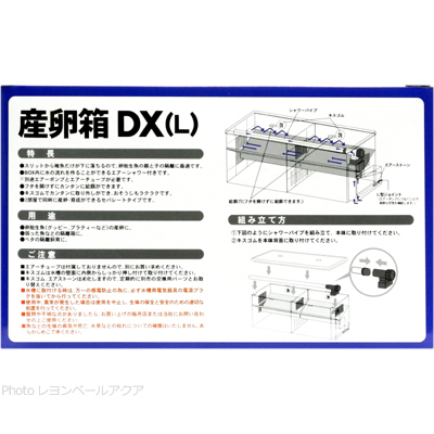 産卵箱DX(L)の特徴と使用方法