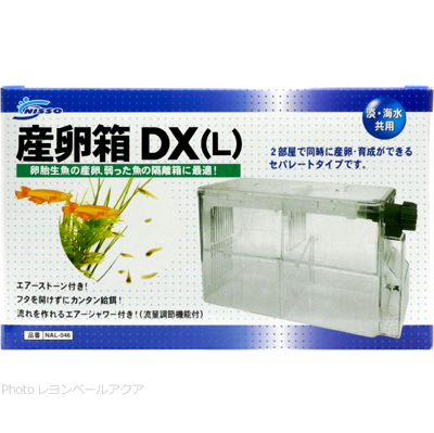 産卵箱DX(L)