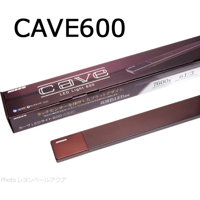 CAVE600 (カーヴ) バーガンディ