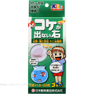 コケが出ない石 ミニ水槽用 3個入り