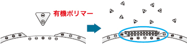 アクアマスターズ プロセル