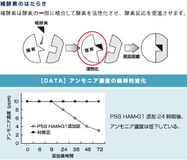 アクアマスターズ PSB HAM-G1