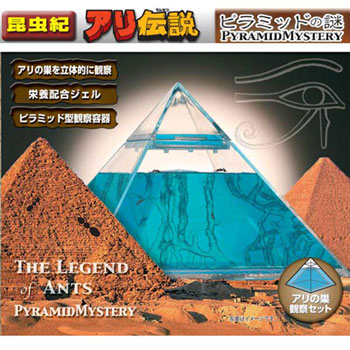 アリ伝説Ⅲ ピラミッド