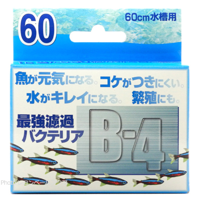 最強濾過バクテリア B-4