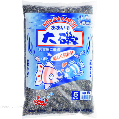 大磯砂 中目5Kg