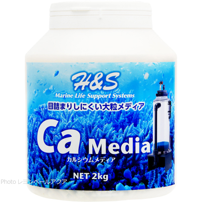 純日本製/国産  ポンプは選択OK!! 内部式 eco H&S　カルシウムリアクター　CA-2 魚用品/水草