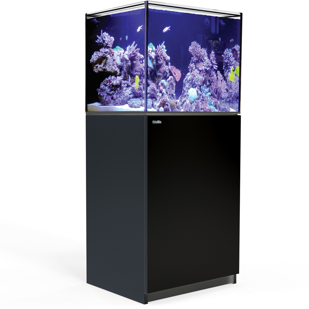 新入荷アイテム 【お取り寄せ】【Red Sea】 Reefer NANO ホワイト