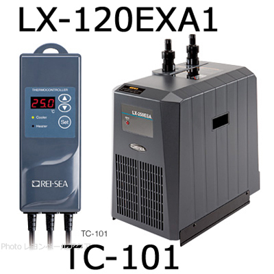 LX-120EXA1とTC-101