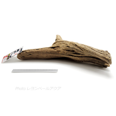天然流木 匠 L-4