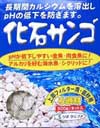 ソネケミファ 化石サンゴ